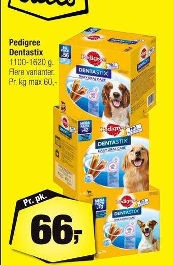 Calle Pedigree dentastix tilbud