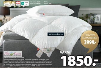 Tusindfryd Moskusdundyne