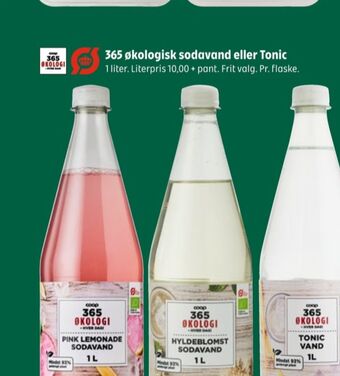 Hyldeblomst hyldeblomstsodavand