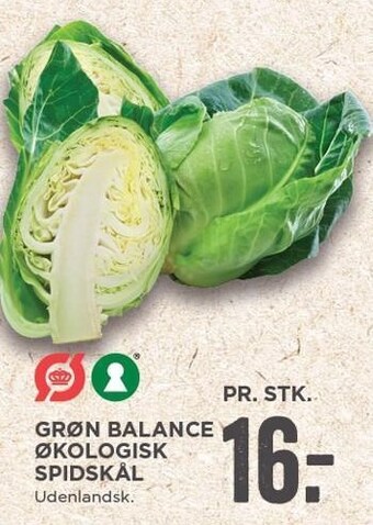 Grøn balance økologisk spidskål