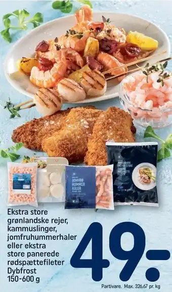 Ekstra store grønlandske rejer, kammuslinger, jomfruhummerhaler eller ekstra store panerede rødspættefileter