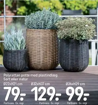 REMA 1000 Polyrattan potte med plastindlæg sort eller natur tilbud