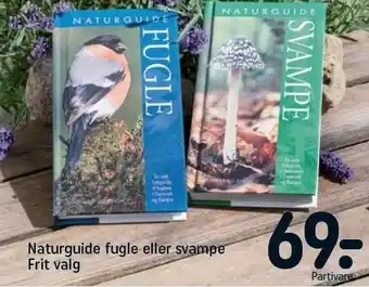 Naturguide fugle eller svampe
