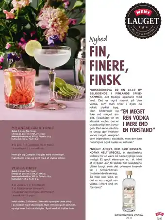 Fin, finere, finsk