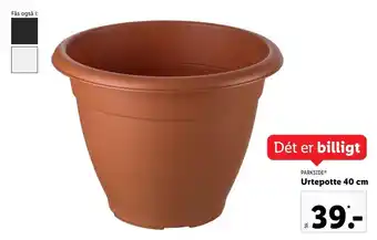 Lidl Urtepotte 40cm tilbud