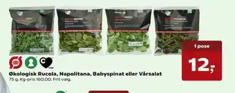 Kvickly Økologisk Rucola, Napolitana, Baby spinat eller Vårsalat tilbud