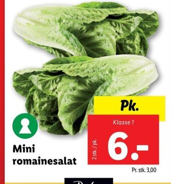 Lidl Mini Romainesalat tilbud