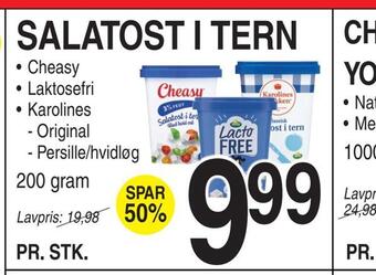 Salatost i tern