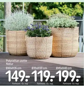 REMA 1000 Polyrattan potte tilbud