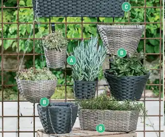REMA 1000 Aflang potte 13,5x36x15,5 cm, hængekurv til væg 30x18x18 cm, altanpotte til ophæng h18xø27 cm eller hængepotte h15xø25 cm tilbud
