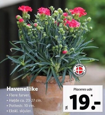 Lidl Havenellike tilbud