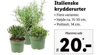Lidl Italienske krydderurter tilbud