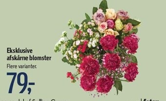Føtex Eksklusive afskårne blomster tilbud