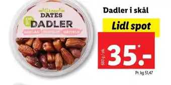 Dadler i Skål