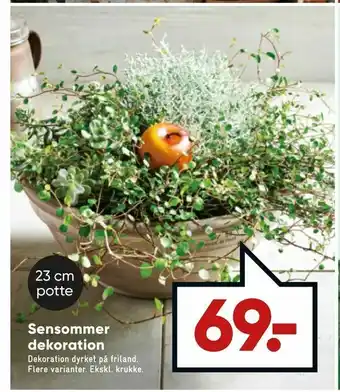 Bilka Sensommer dekoration tilbud