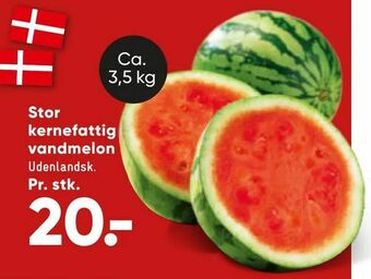 Bilka Stor kernefattig vandmelon tilbud