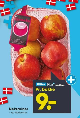 Bilka Nektariner tilbud
