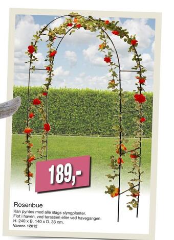 Rosenbue