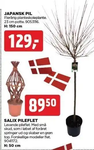 Japansk pil el. salix pilefilt