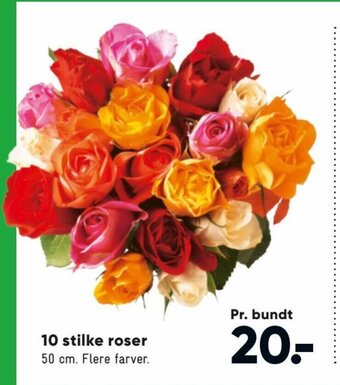 Bilka 10 Stilke Roser tilbud