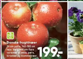 Bilka Danske Frugttræer tilbud