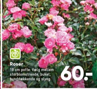 Bilka Ukendt planter tilbud