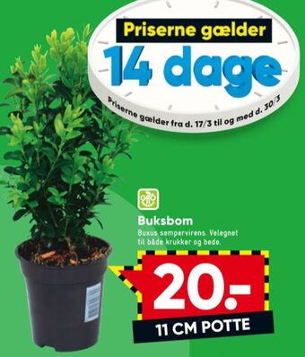 Ukendt planter