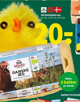 365 økologiske æg
