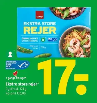 Ekstra store rejer