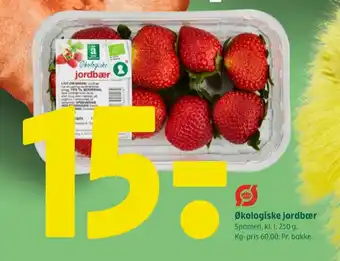 Änglamark jordbær