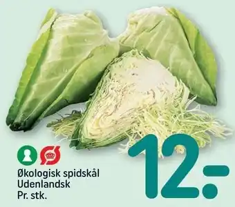 REMA 1000 Økologisk spidskål tilbud