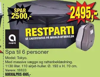 Harald Nyborg Avenli spa til 6 personer tilbud