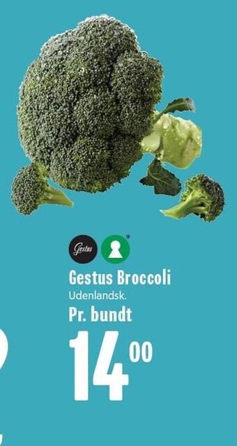 Gestus broccoli