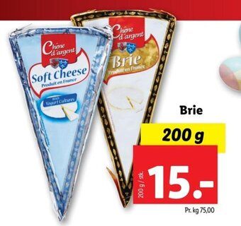 Brie
