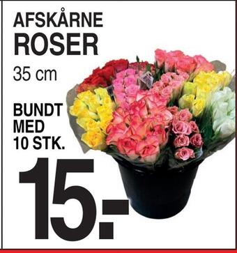 ABC Lavpris Roser tilbud
