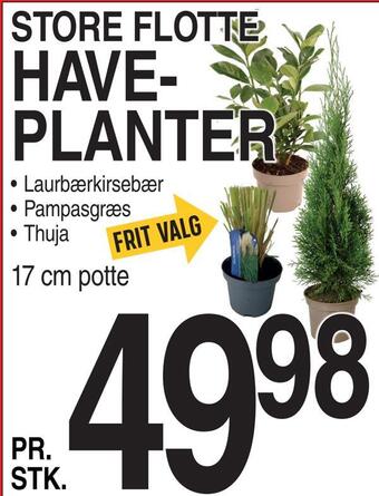 Haveplanter