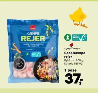 Kvickly Coop kæmpe rejer tilbud