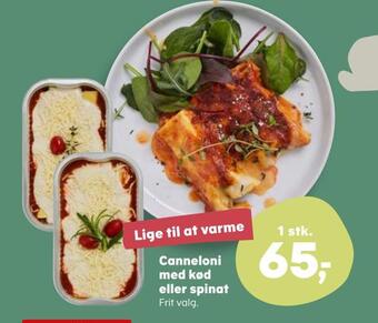 Canneloni med kød eller spinat