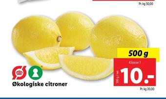 Lidl Økologiske citroner tilbud