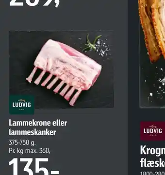 Føtex Lammekrone eller lammeskanker tilbud