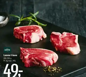 Lamme t-bone