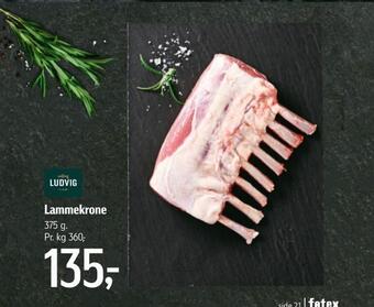 Lammekrone