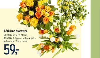 Føtex Afskårne blomster tilbud