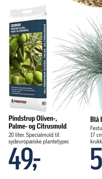 Pindstrup oliven-, palme- og citrusmuld