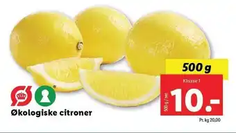 Økologisk citroner