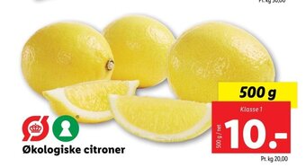 Økologiske Citroner