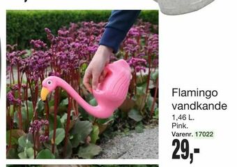 Harald Nyborg Flamingo vandkande tilbud