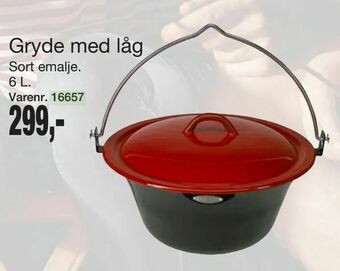 Harald Nyborg Gryde med låg tilbud