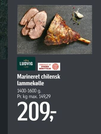 Føtex Ludvig lammekølle tilbud