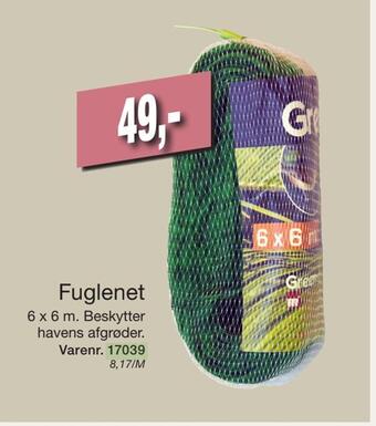 Fuglenet